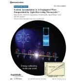Angewandte Chemie Internation Edition Cover